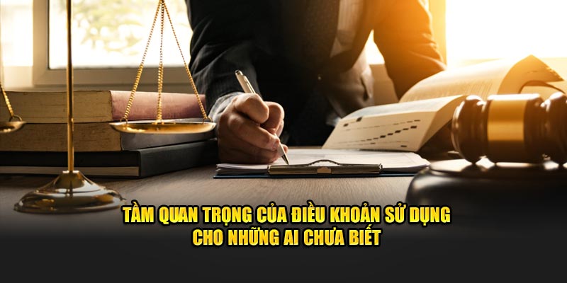 Tầm quan trọng của điều khoản sử dụng cho những ai chưa biết 