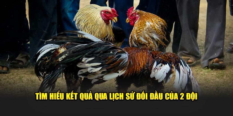 Tìm hiểu kết quả qua lịch sử đối đầu của 2 đội 